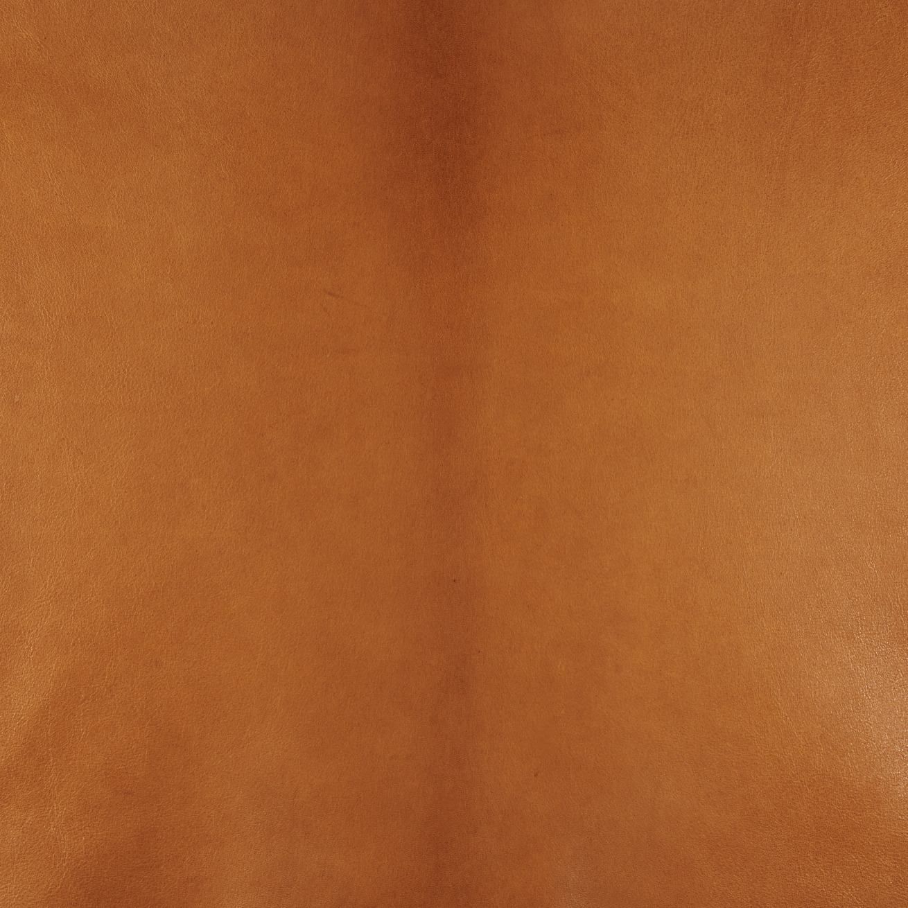 Cabiria Noisette CABIRIA IN NOISETTE