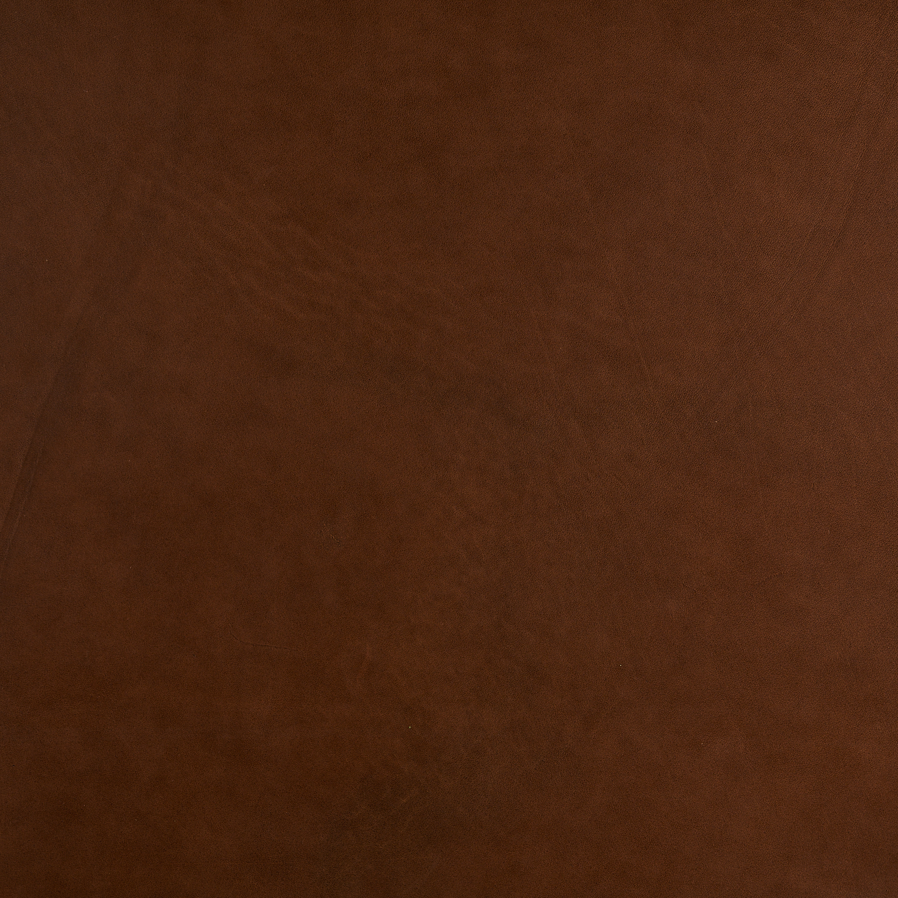 Lucido Havana Lucido Havana - Image 2