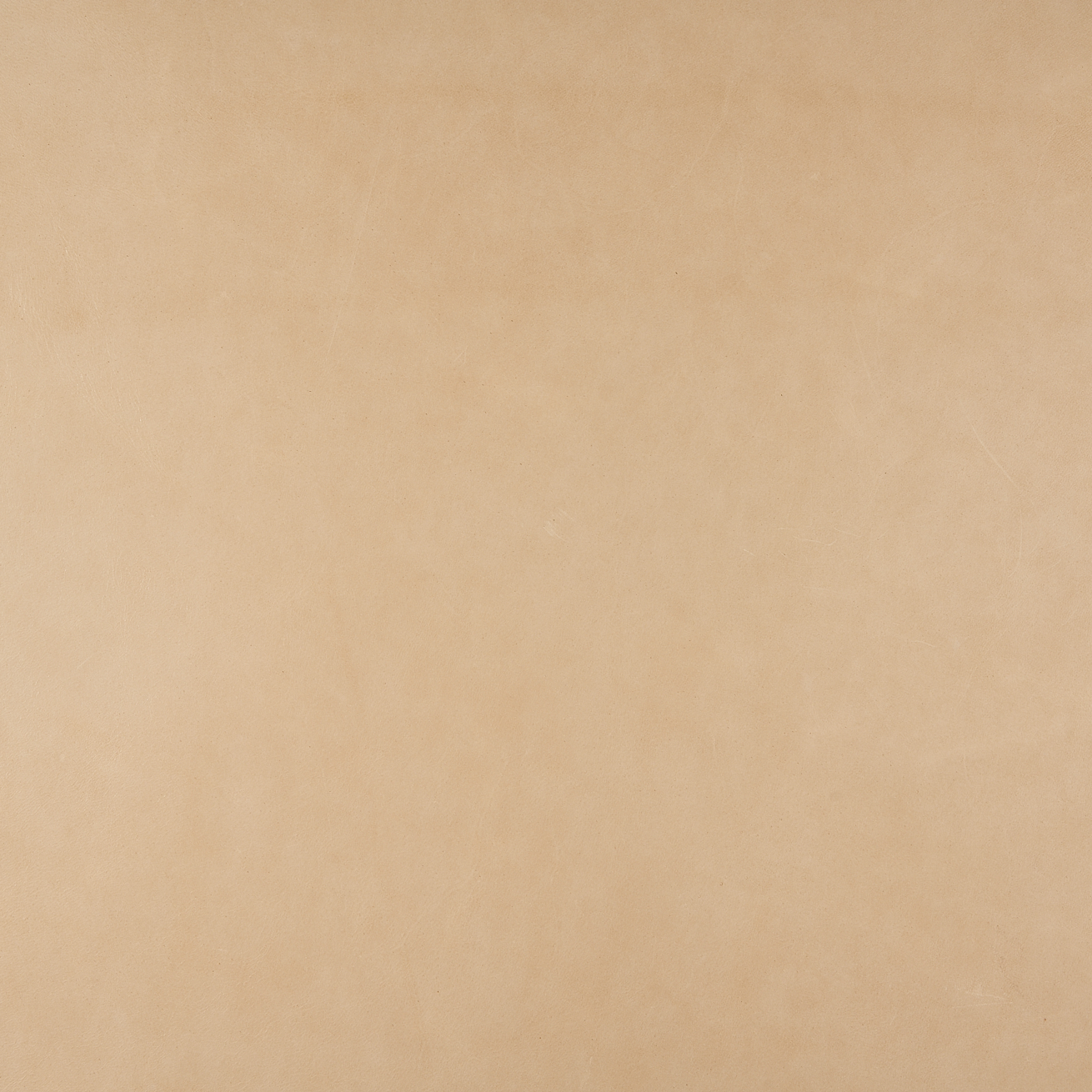 Lucido Parchment Lucido Parchment - Image 2