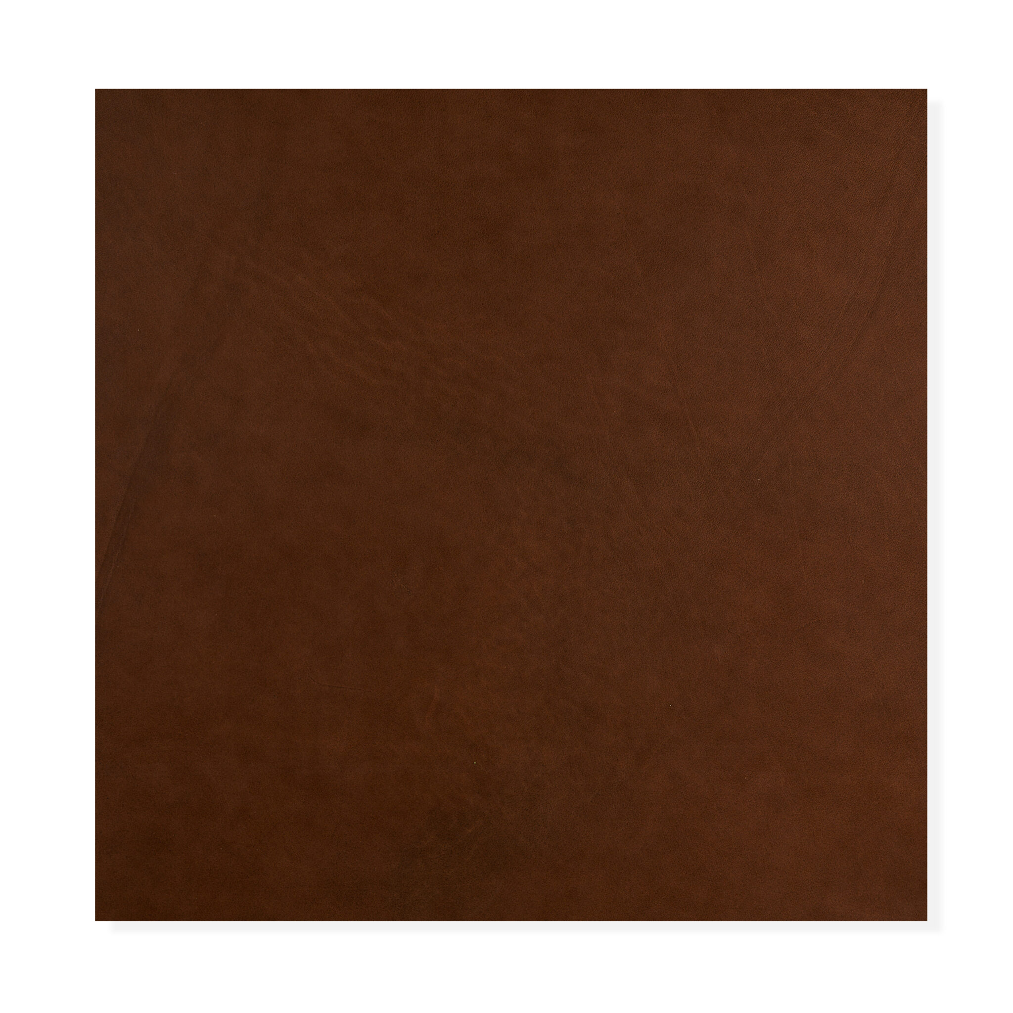 Lucido Havana Lucido Havana - 5100_AG102 LUCIDO