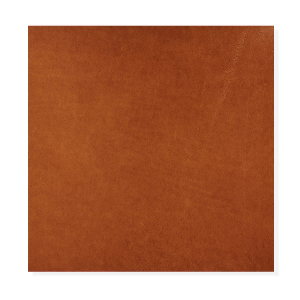 Lucido Brandy - 5100_AG196 LUCIDO