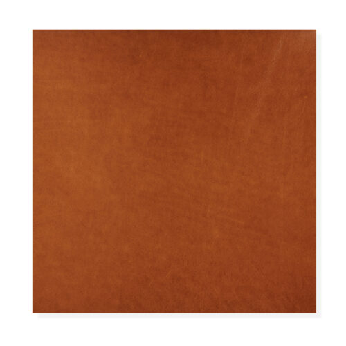 Lucido Brandy - 5100_AG196 LUCIDO