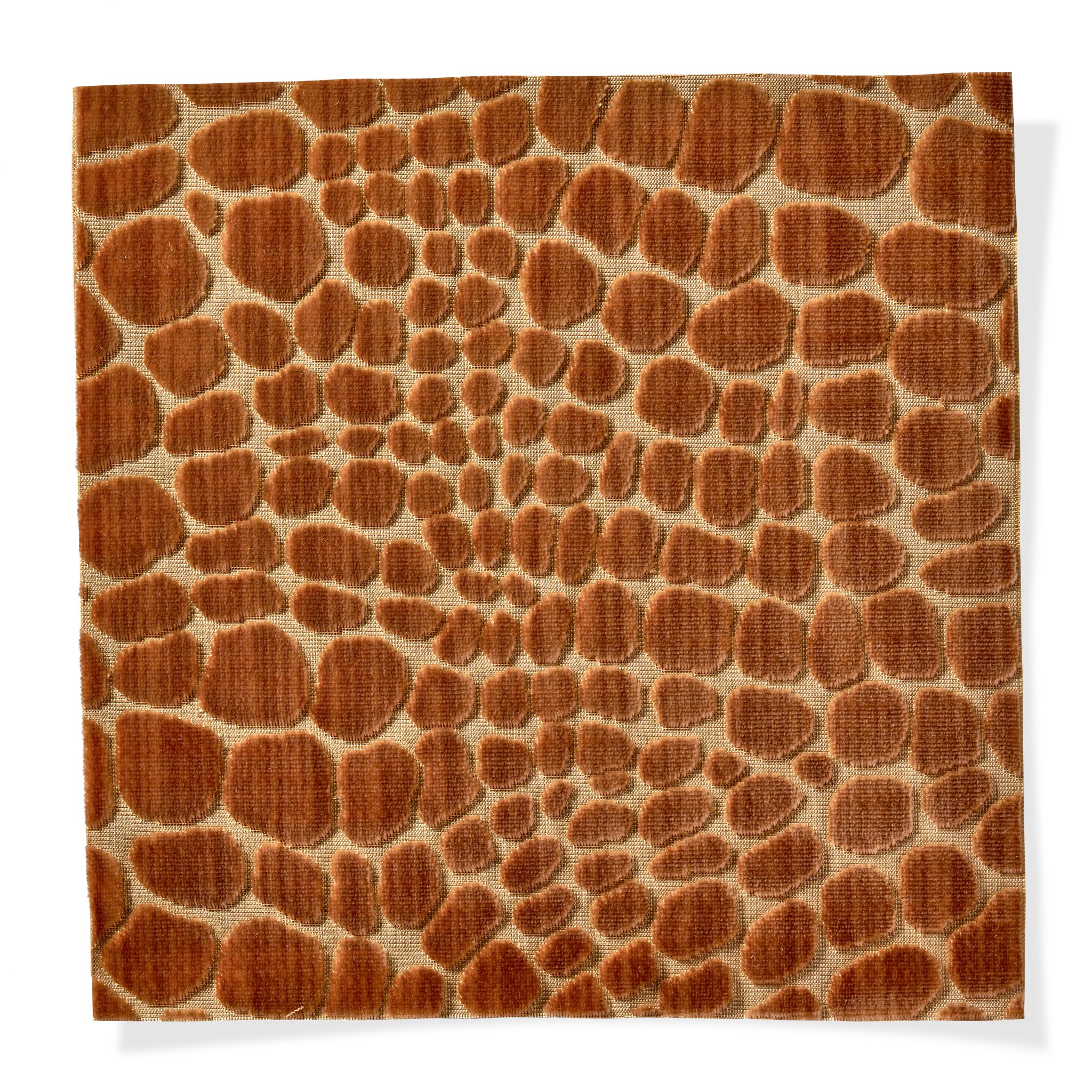 Armadillo Deep Honey Armadillo Deep Honey