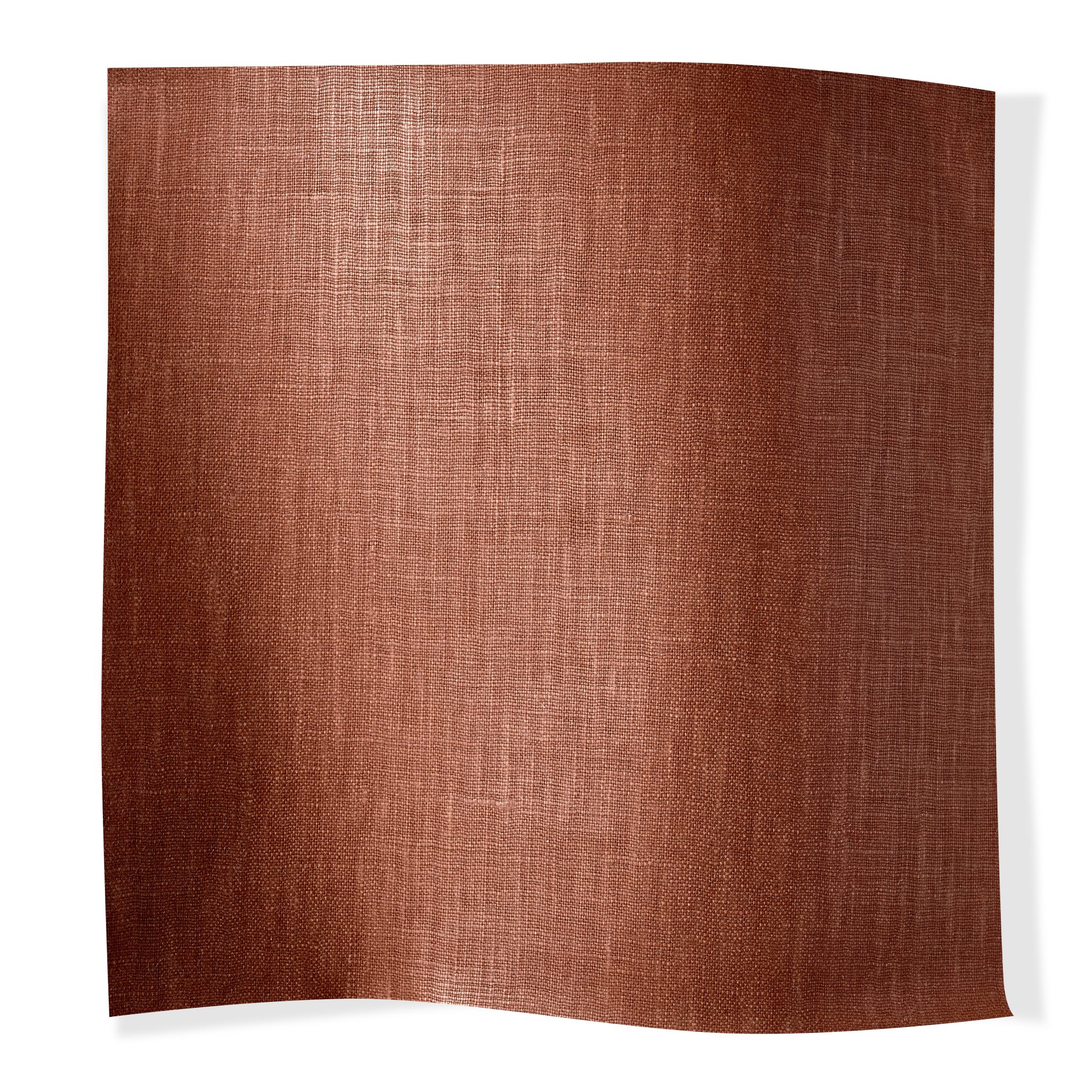 Glacis Cassia Glacis Cassia