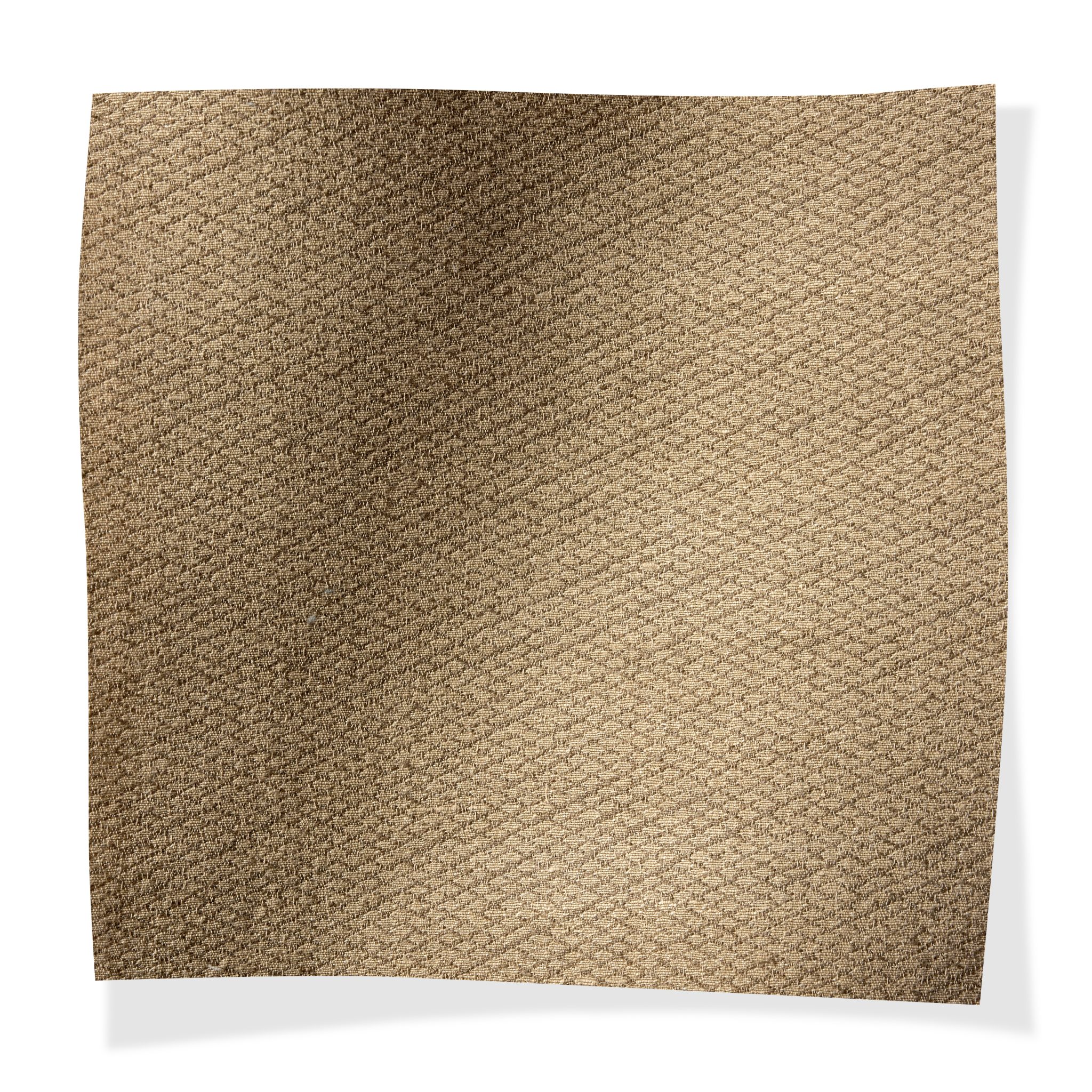 Lora Mushroom/Natural Lora Mushroom/Natural