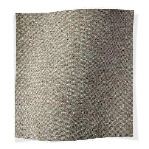 Quinn Passenger Pigeon