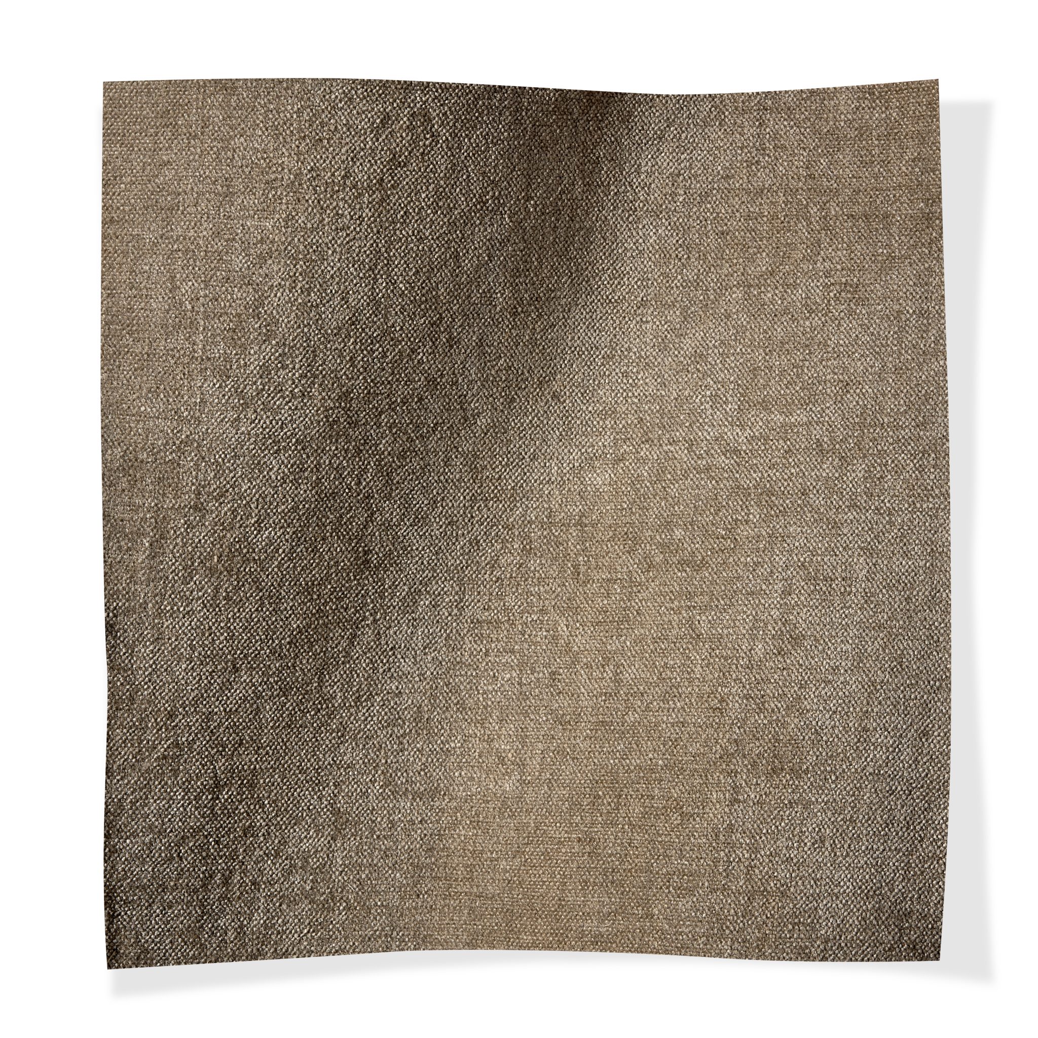 Quinn Finch Quinn Finch