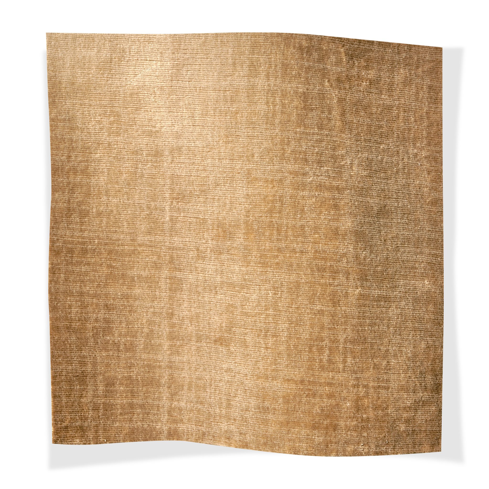 Luciana Dromedary Luciana Dromedary