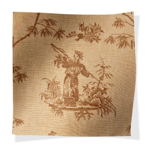 3007L_03_Wisteria_Ginger Tea