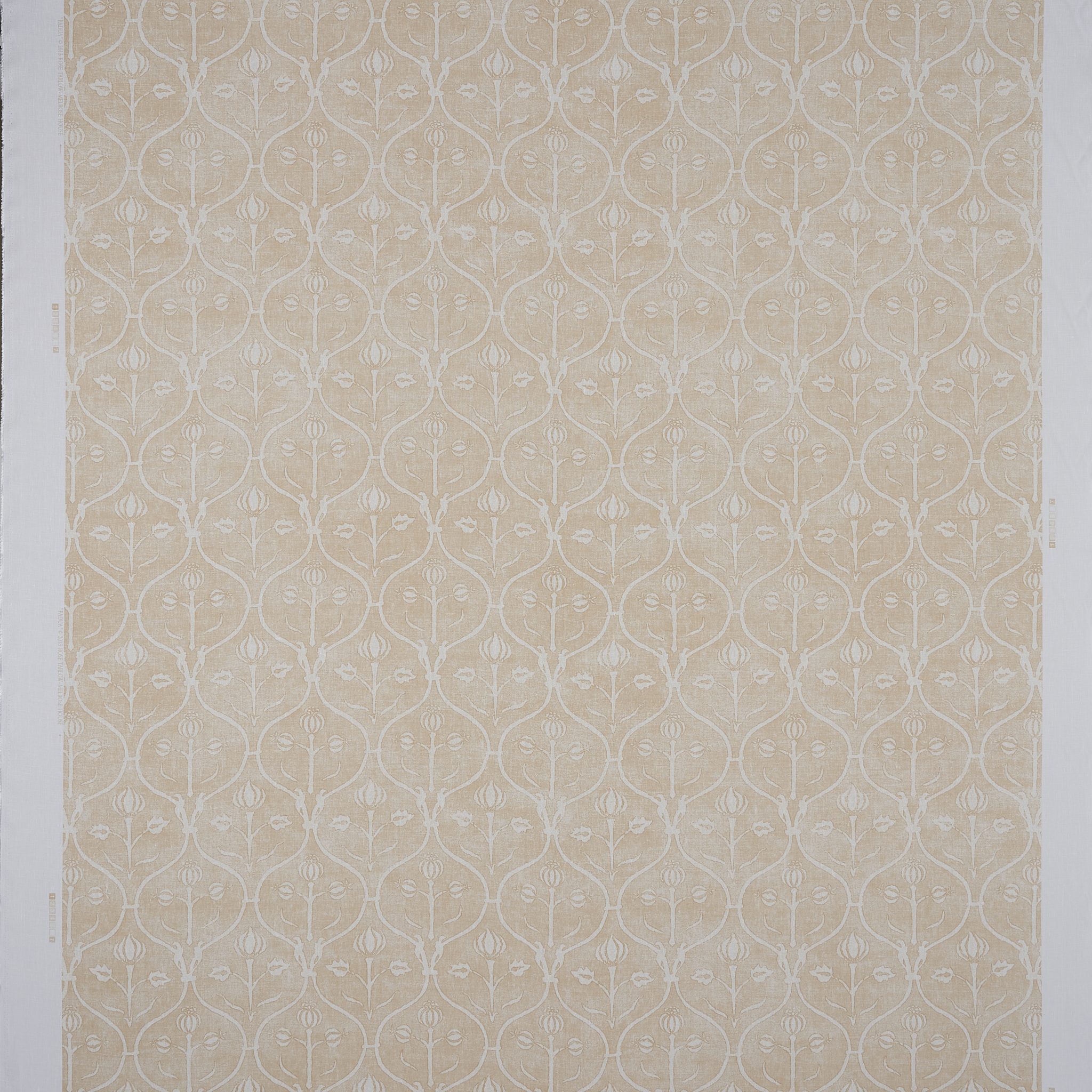 Padua Rena Padua Rena - Image 2