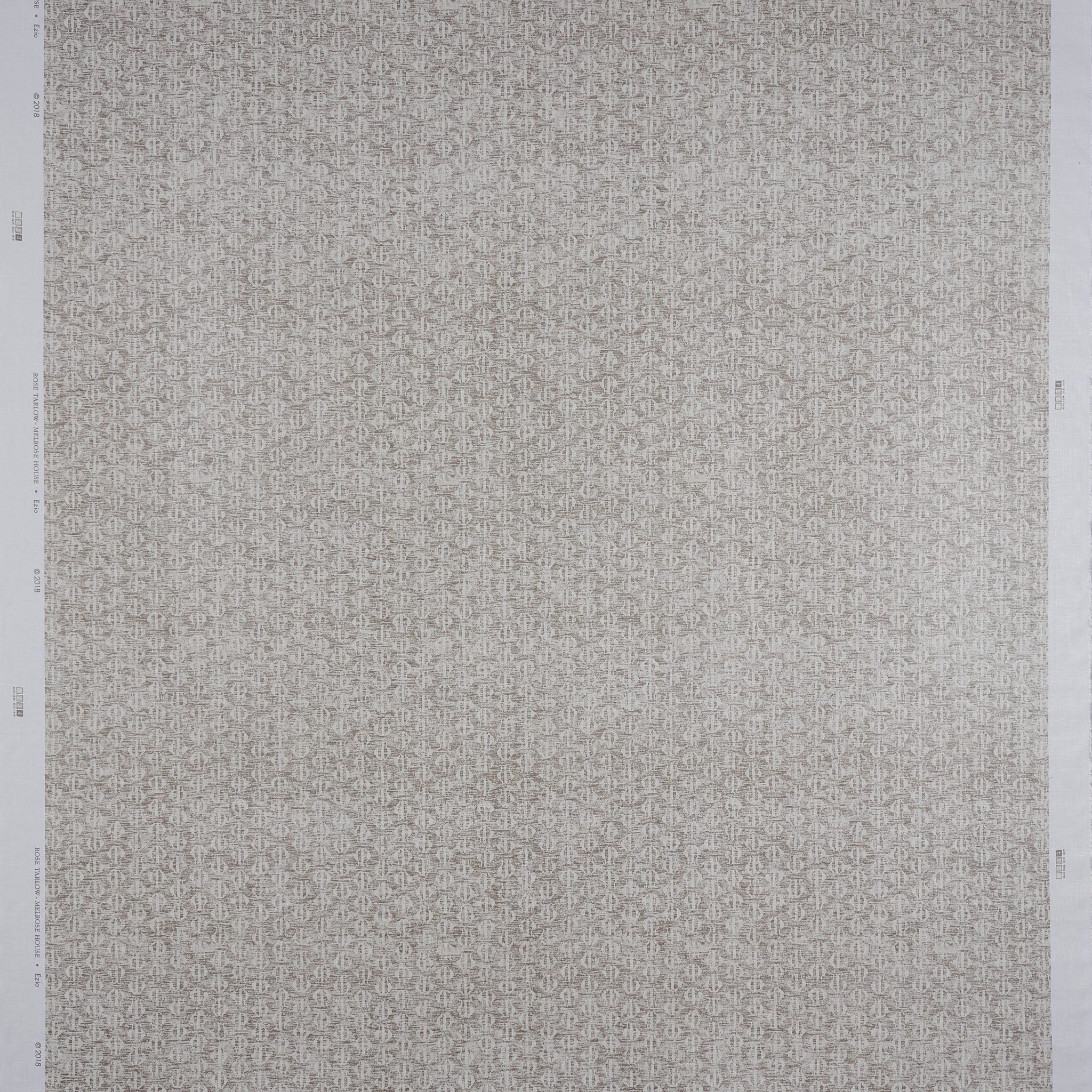 Ezio Fossil Ezio Fossil - Image 2