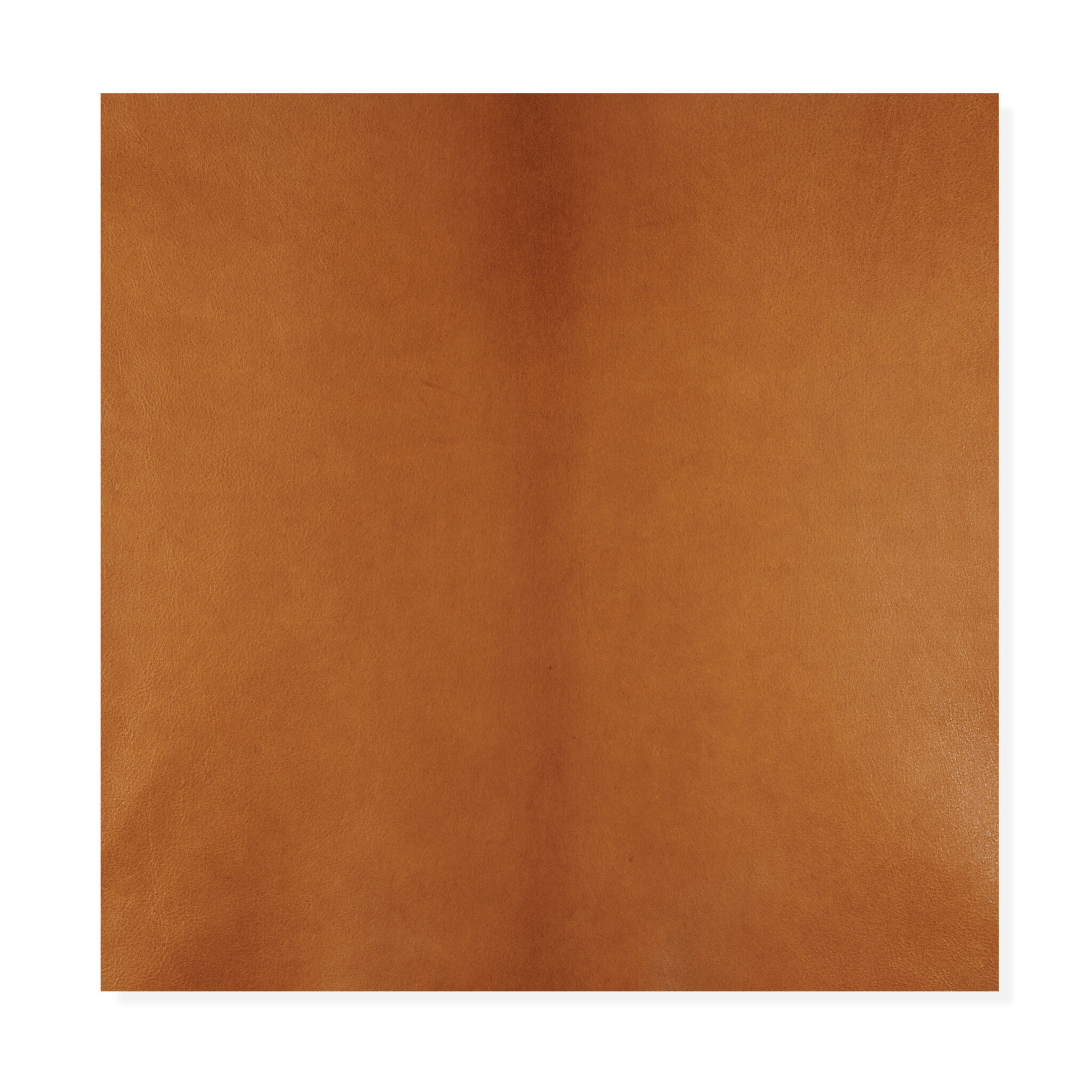 Cabiria Noisette Cabiria Noisette - 5000_J-35 CABIRIA