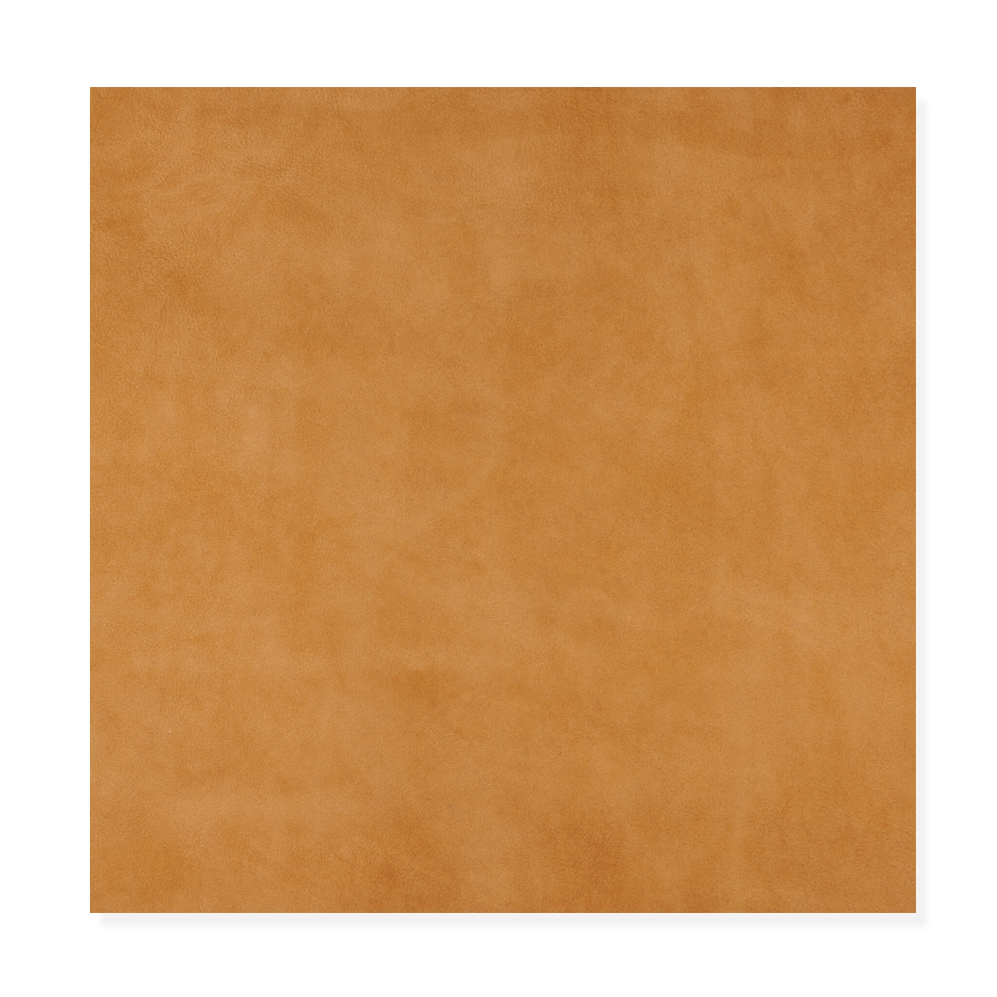 Monte Brindle Monte Brindle - 5304:02 MONTE