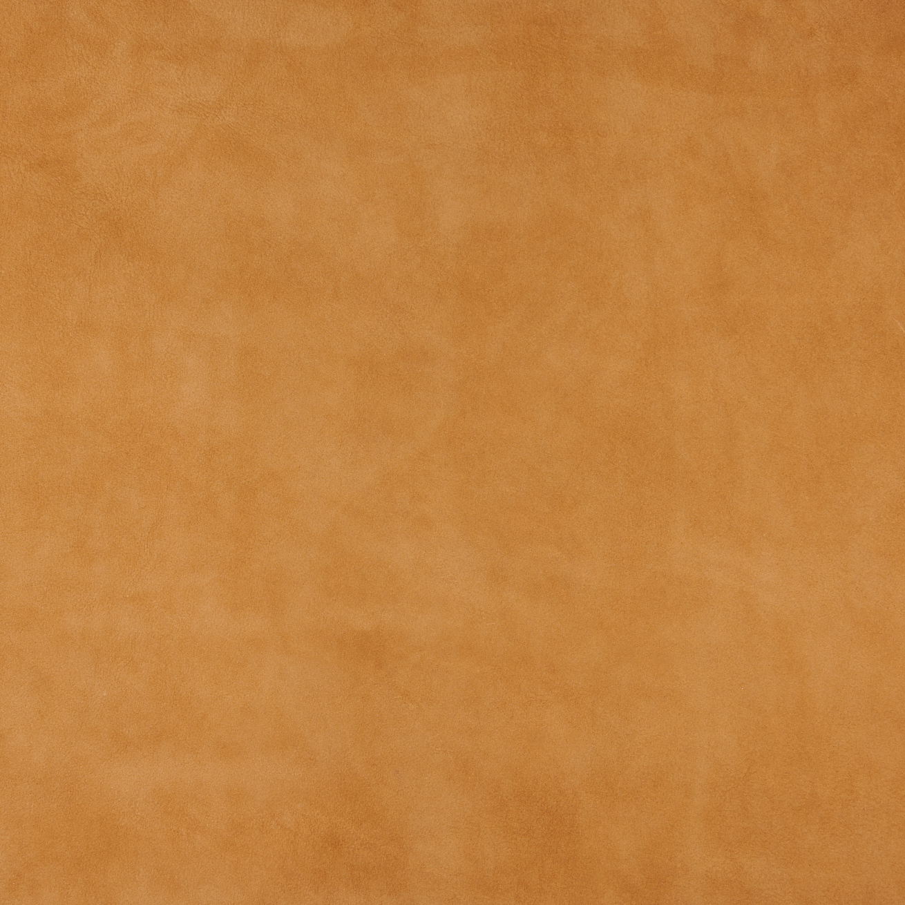 Monte Brindle Monte Brindle - Image 2