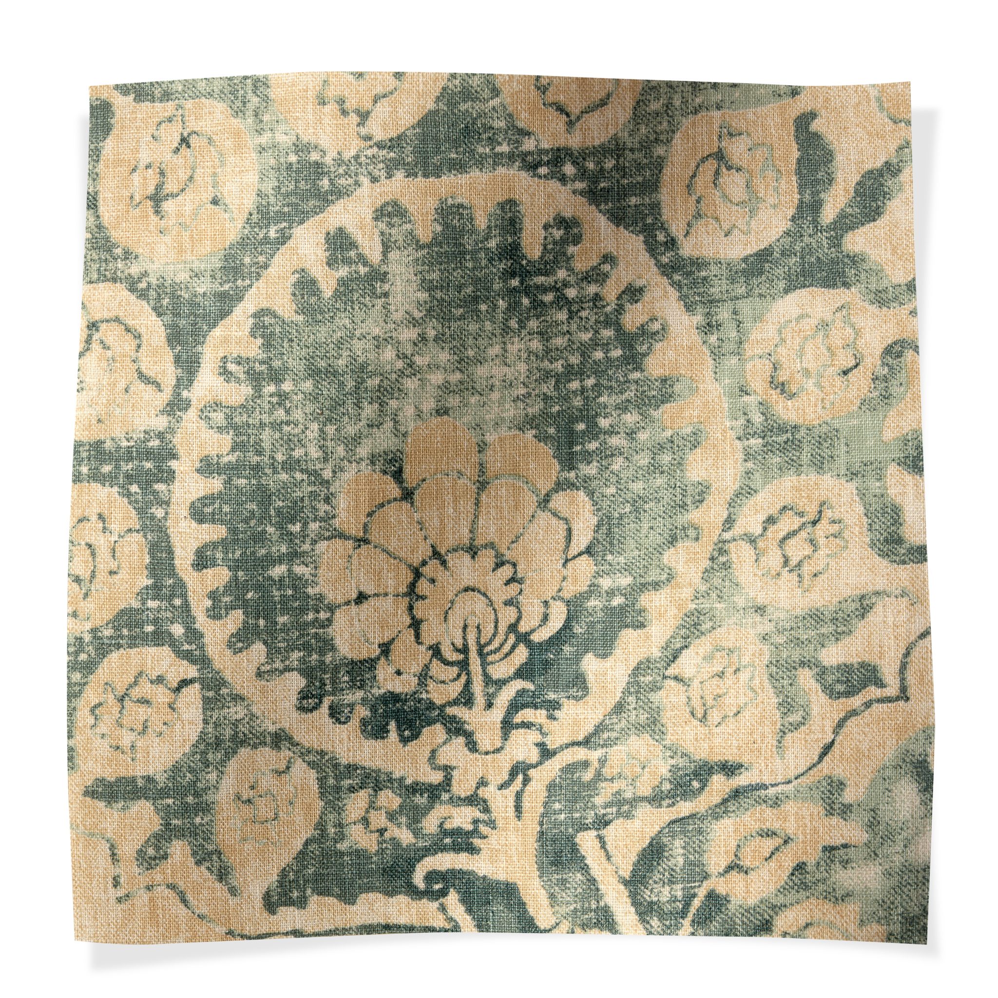 Pamina Wald Pamina Wald