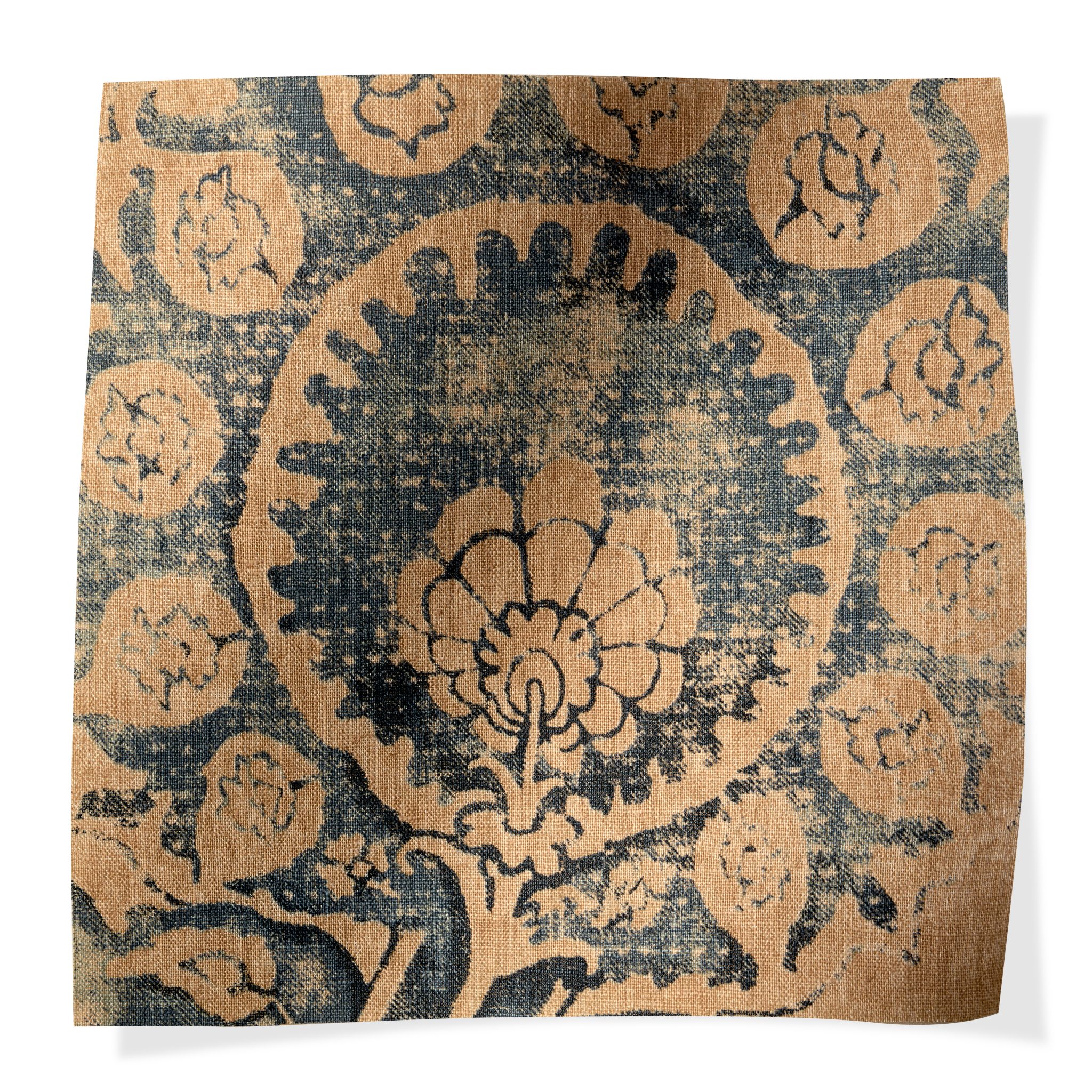 Pamina Aster Pamina Aster