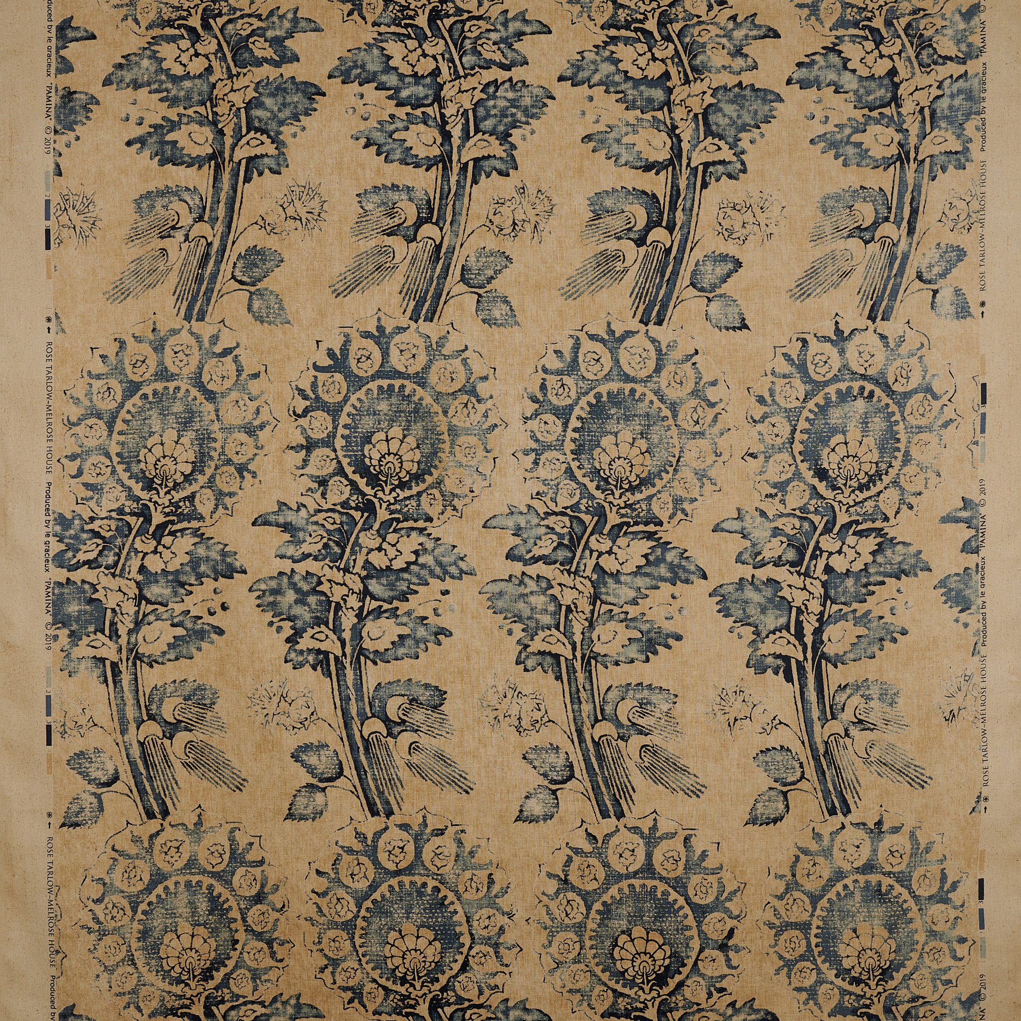 Pamina Aster Pamina Aster - Image 2