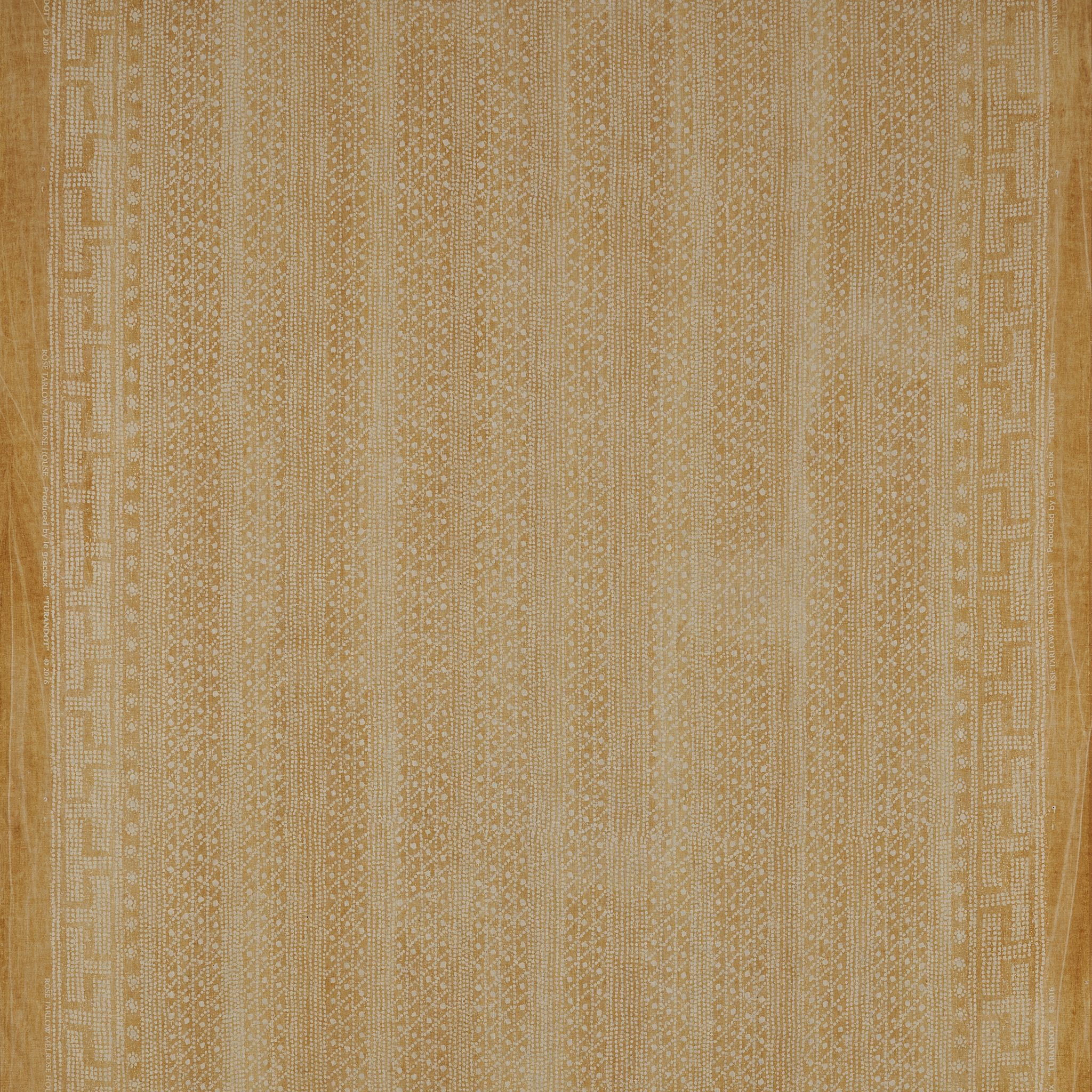 Turandot Bloom Turandot Bloom - Image 2