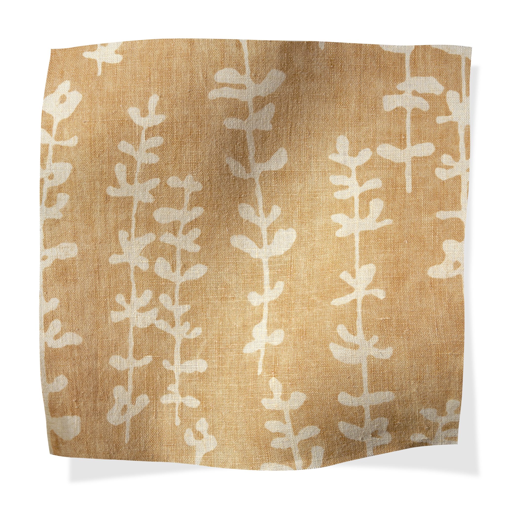 Lakme Bloom Lakme Bloom