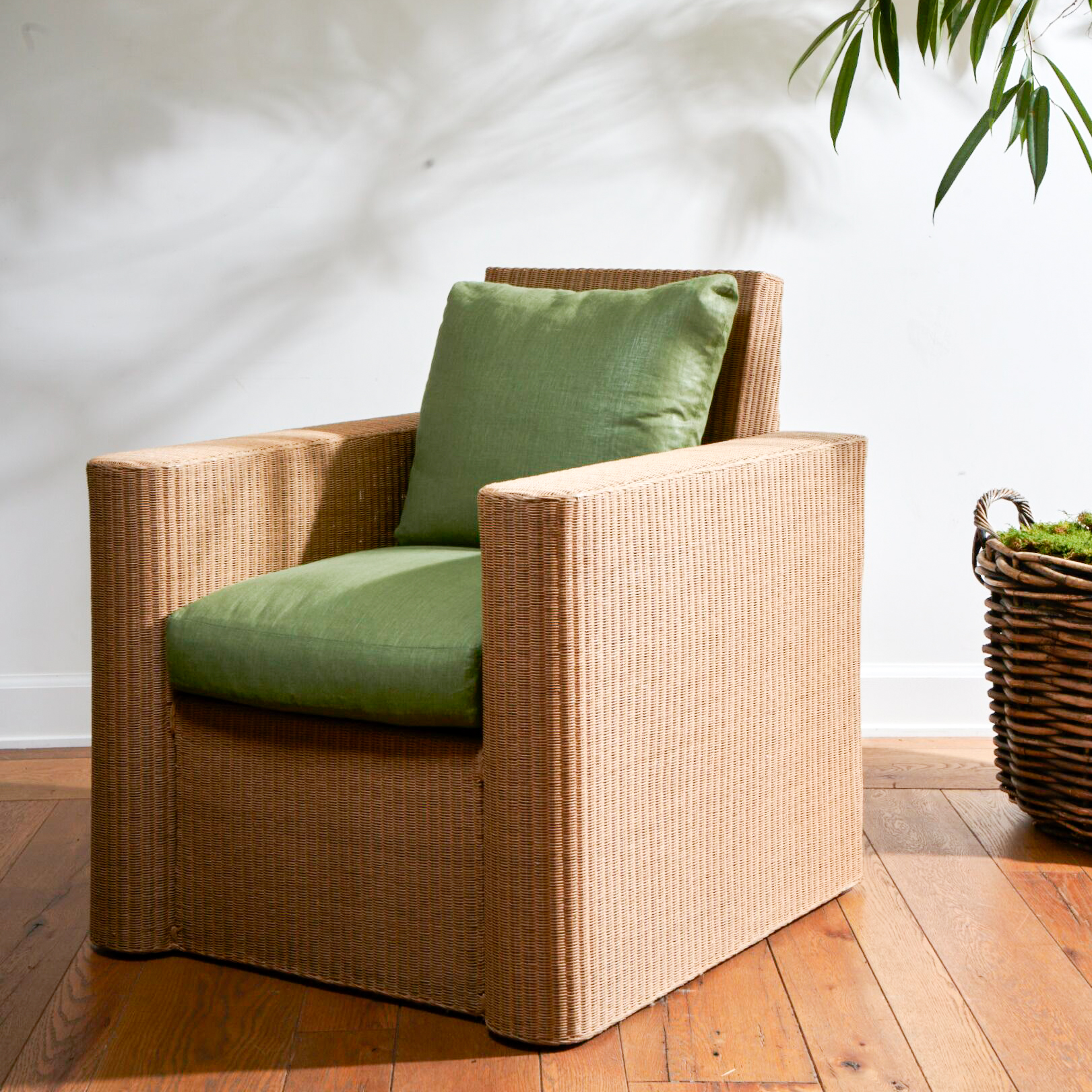 Glacis Bartlett Glacis Bartlett - Image 2