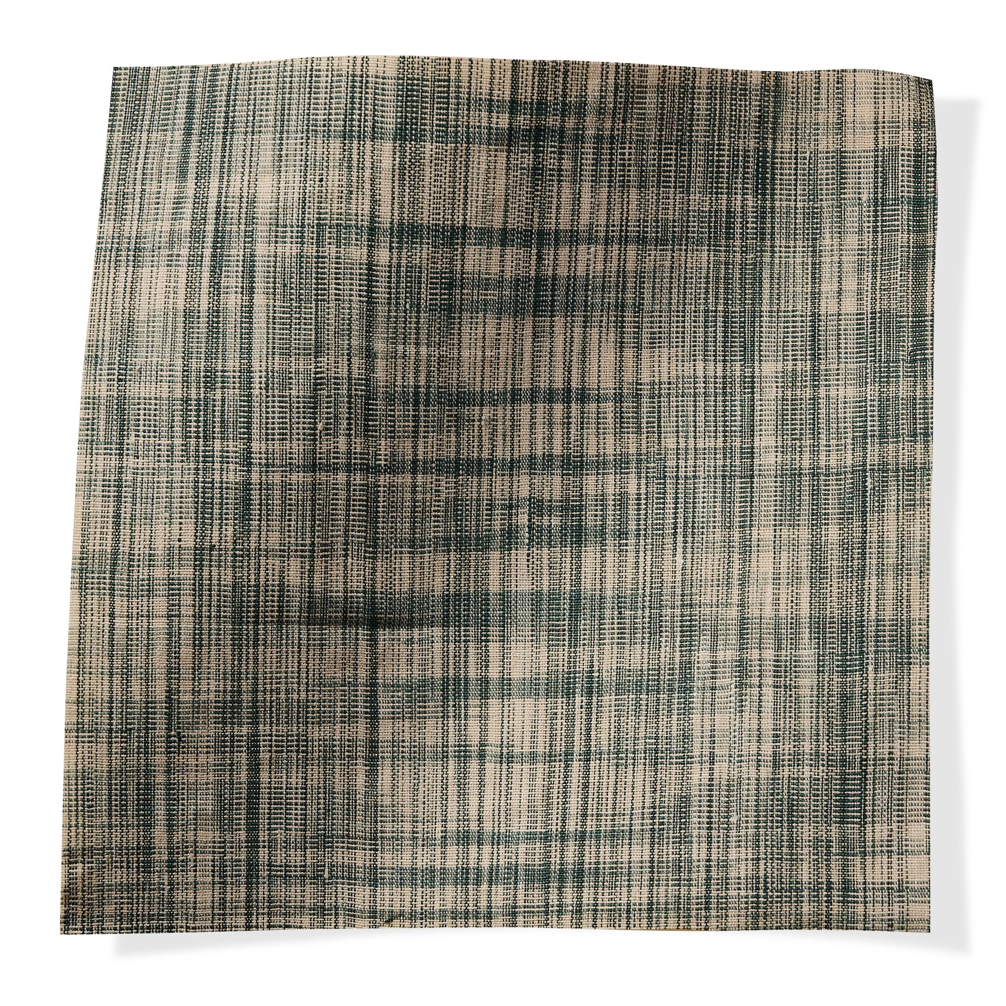 Panthera Bayou Panthera Bayou