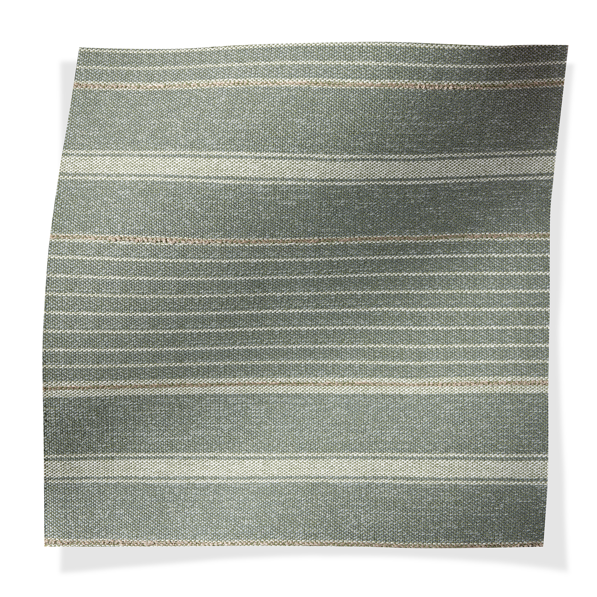 WHIDBEY Yew (outdoor) 2933_01_Whidbey_Yew