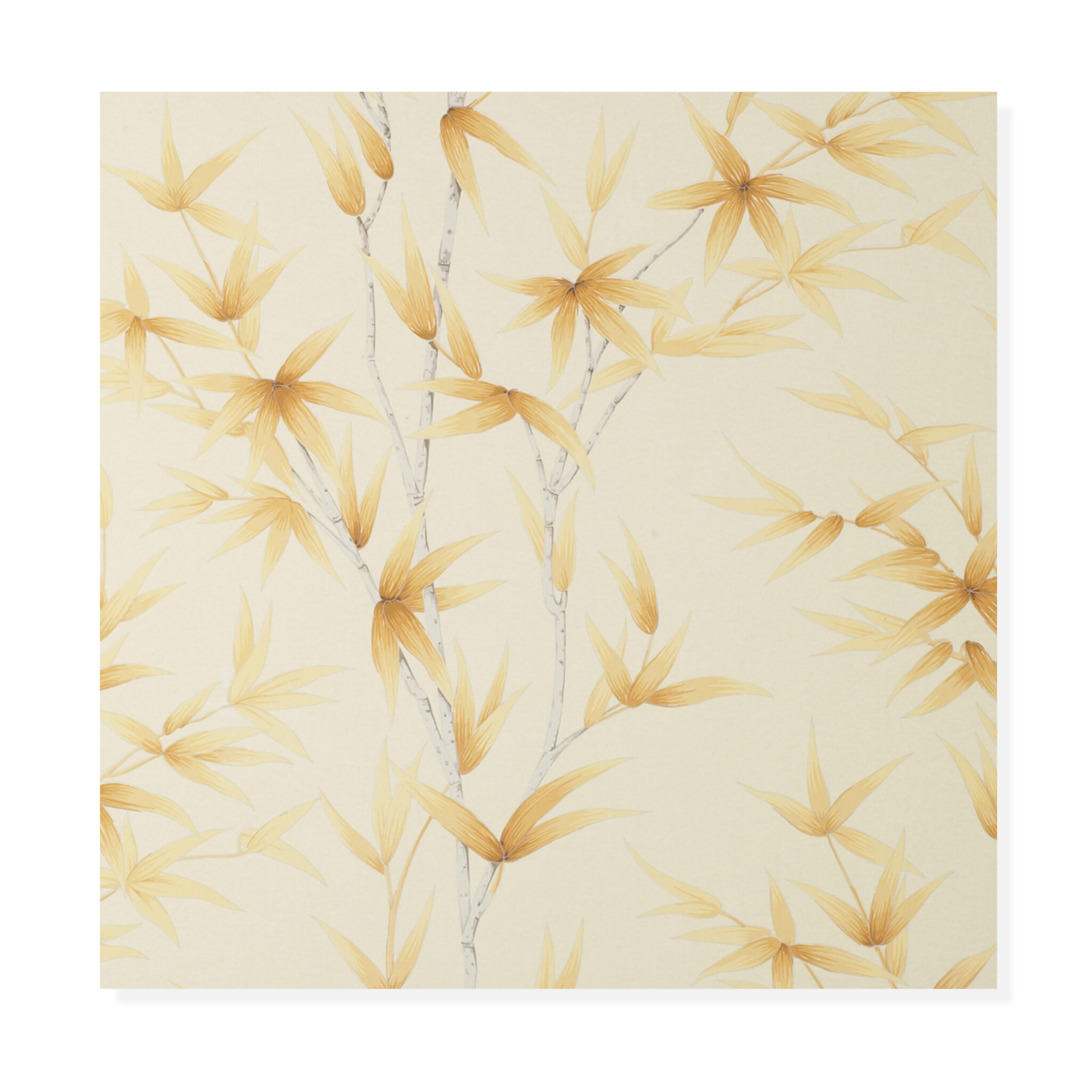 Bamboo Butternut (wp) Bamboo Butternut (wp) - 4115W_02