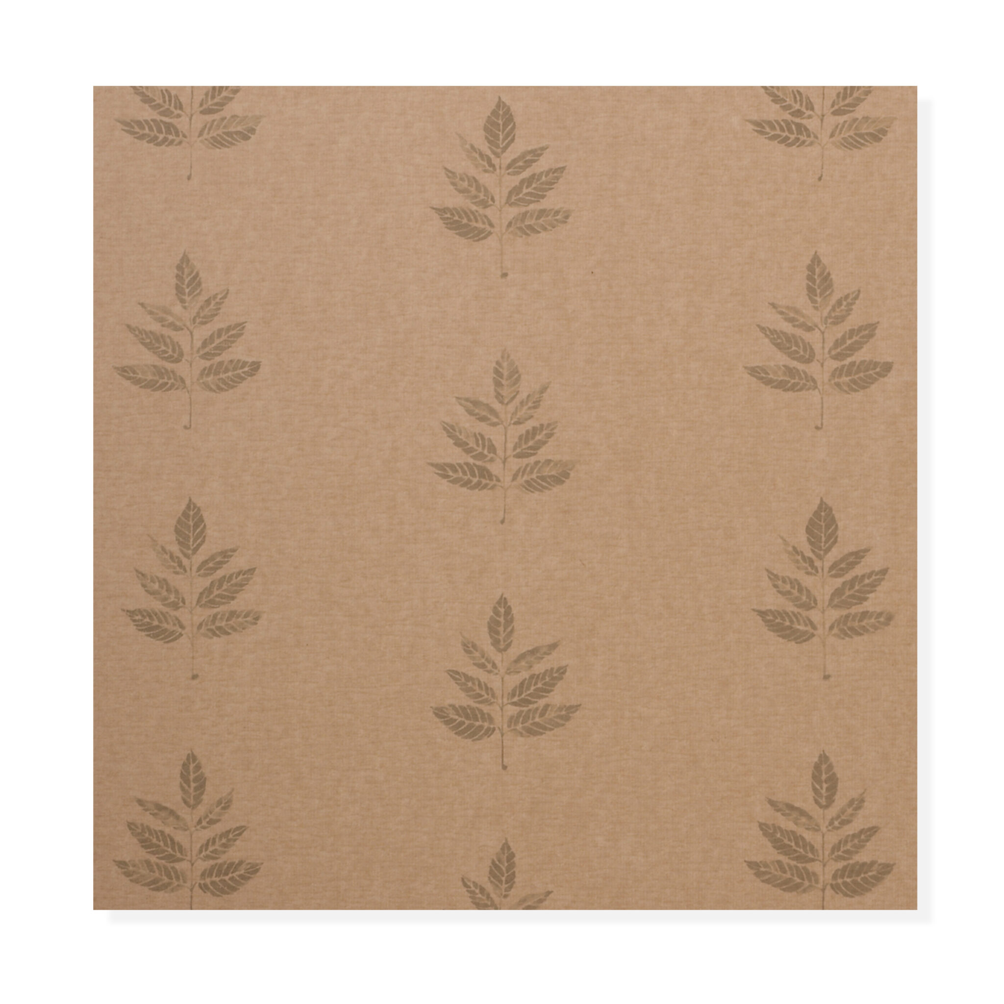 North Woods Ash (wp) North Woods Ash (wp) - 4208WKS_02