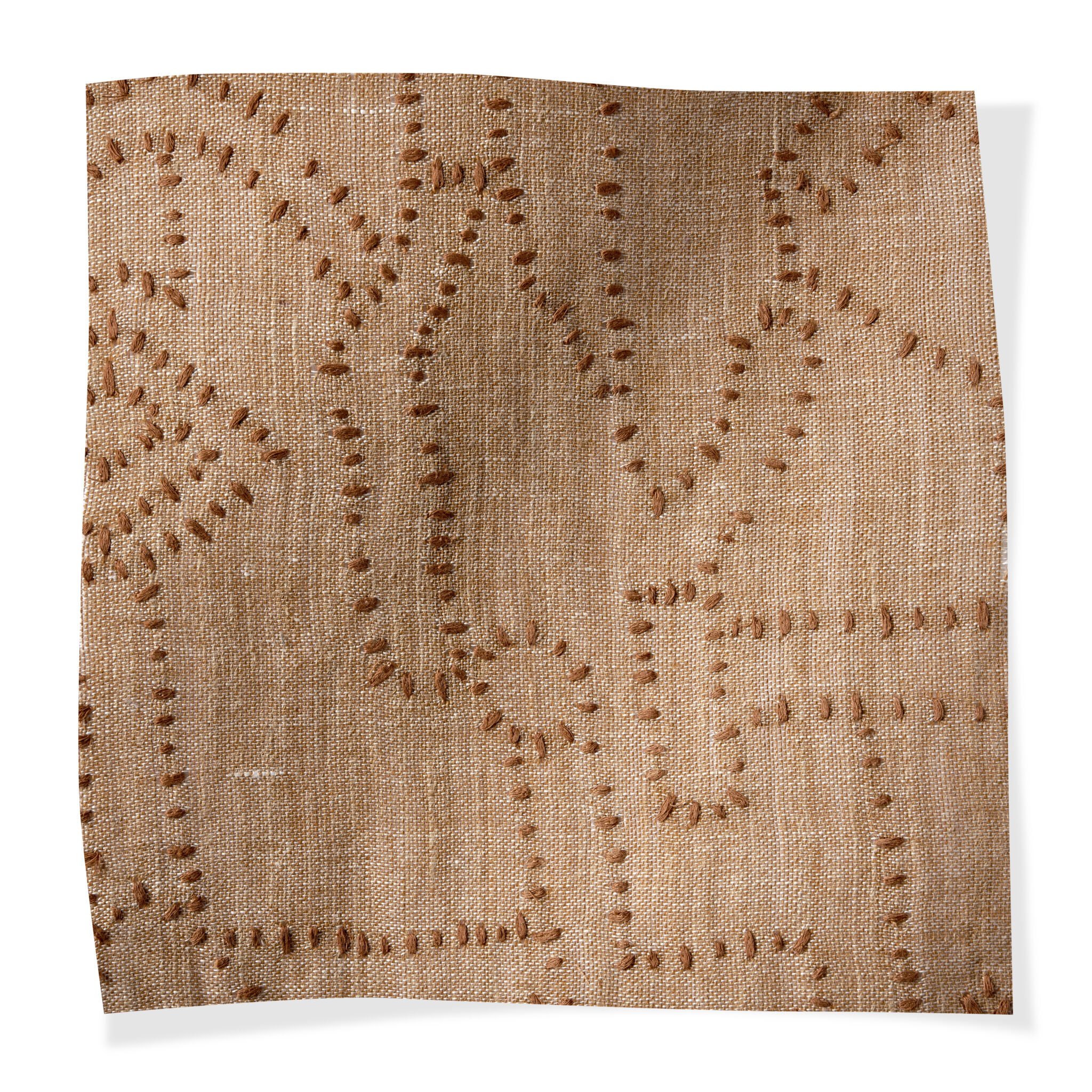 Sankuru Acacia 2413_01_Sankuru_Acacia