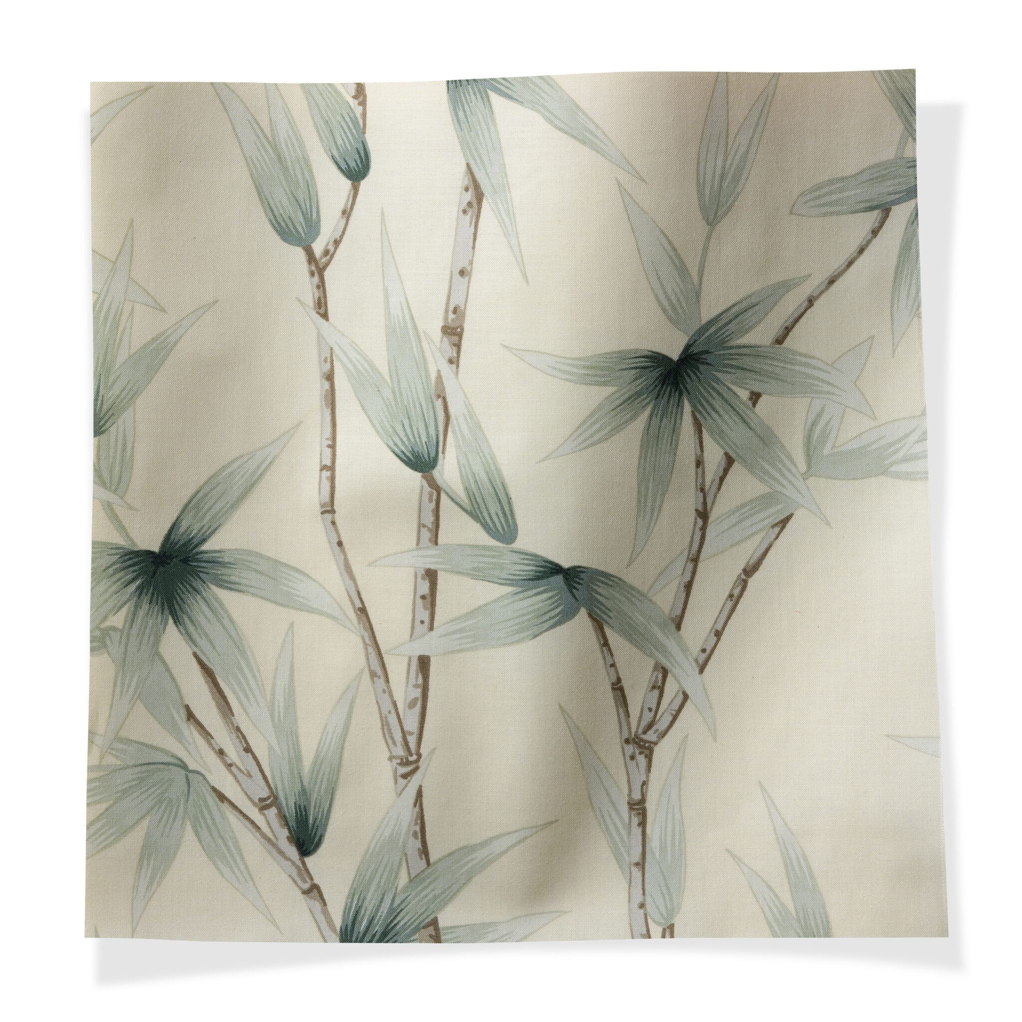 Bamboo Santolina 3000_03_Bamboo_Santolina_Detail