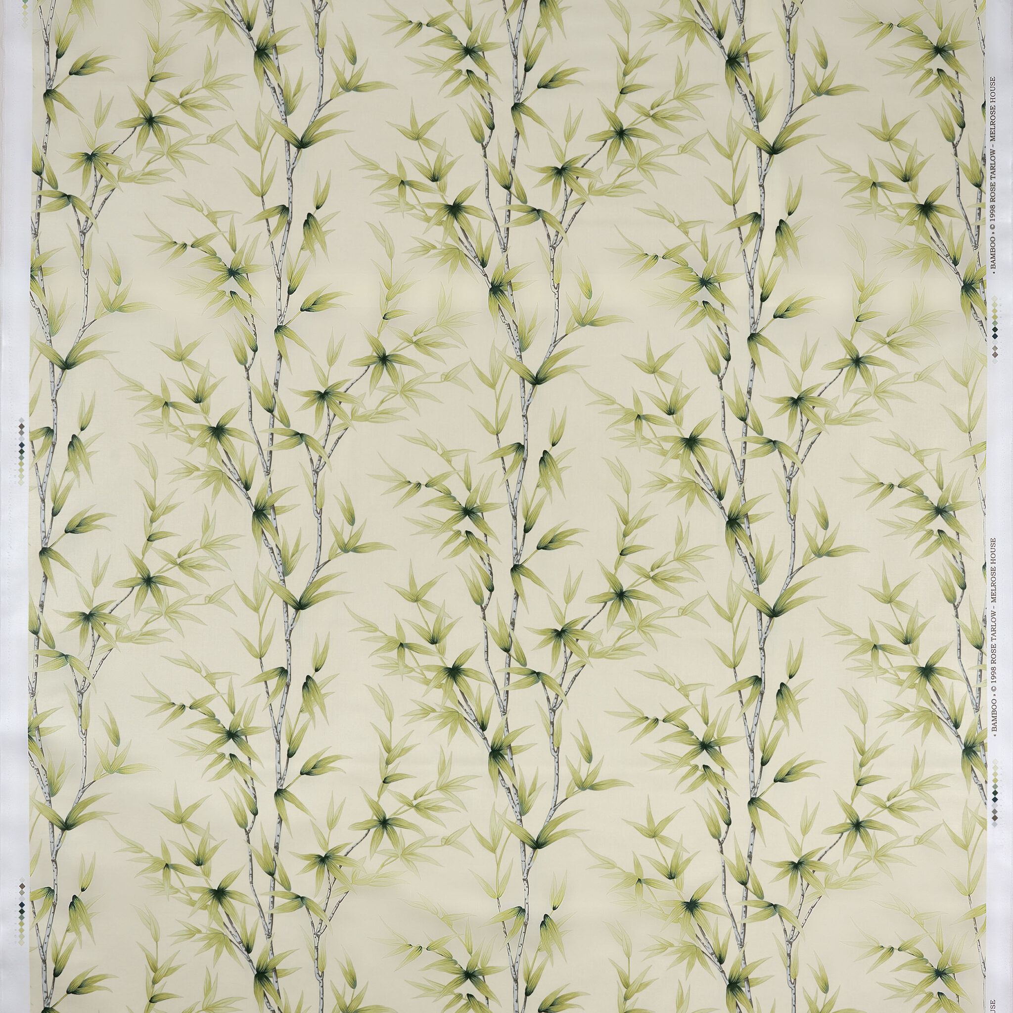 Bamboo_Kiwi_Full Repeat